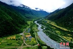 从军营男儿到乡村人大代表：布乔的20载振兴路